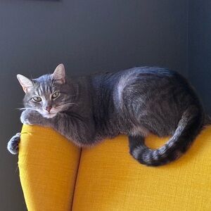 Meet your Posher, Kristina